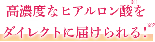 高濃度なヒアルロン酸をダイレクトに届けられる！